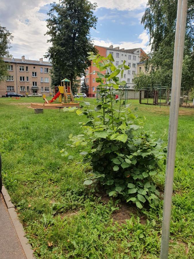 Apartament Erfolg 6 陶格夫匹尔斯 外观 照片